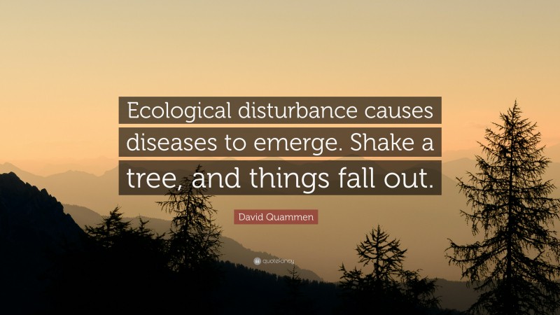 David Quammen Quote: “Ecological disturbance causes diseases to emerge. Shake a tree, and things fall out.”