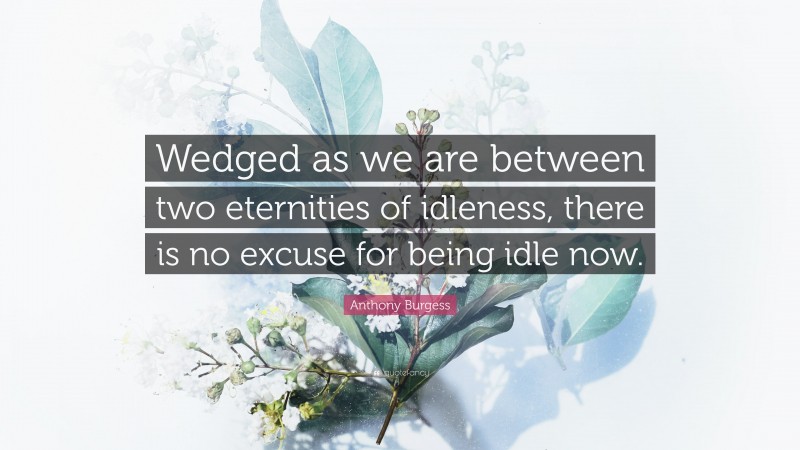 Anthony Burgess Quote: “Wedged as we are between two eternities of idleness, there is no excuse for being idle now.”