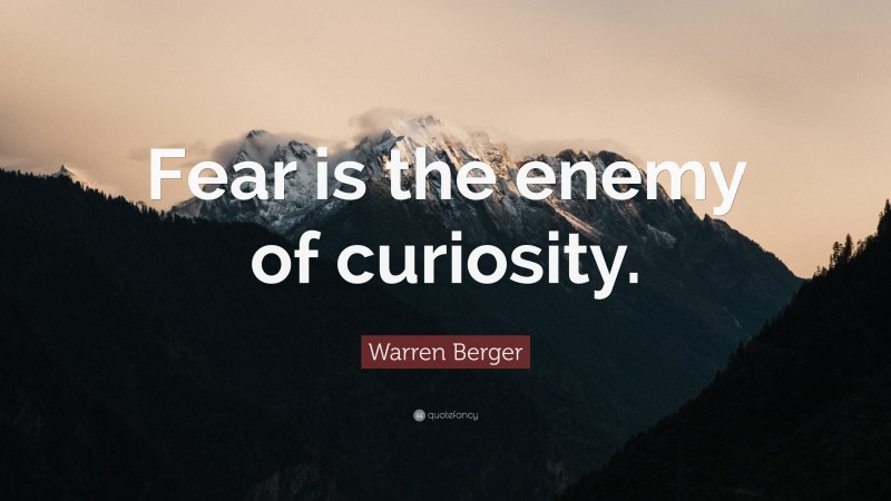 Warren Berger Quote: “Fear is the enemy of curiosity.”