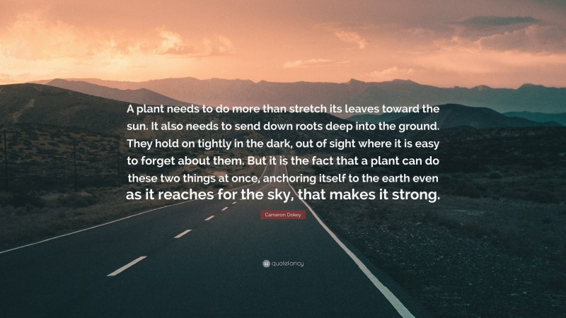 Cameron Dokey Quote: “A plant needs to do more than stretch its leaves toward the sun. It also needs to send down roots deep into the ground. They hold on tightly in the dark, out of sight where it is easy to forget about them. But it is the fact that a plant can do these two things at once, anchoring itself to the earth even as it reaches for the sky, that makes it strong.”