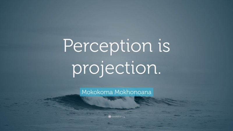 Mokokoma Mokhonoana Quote: “Perception is projection.”