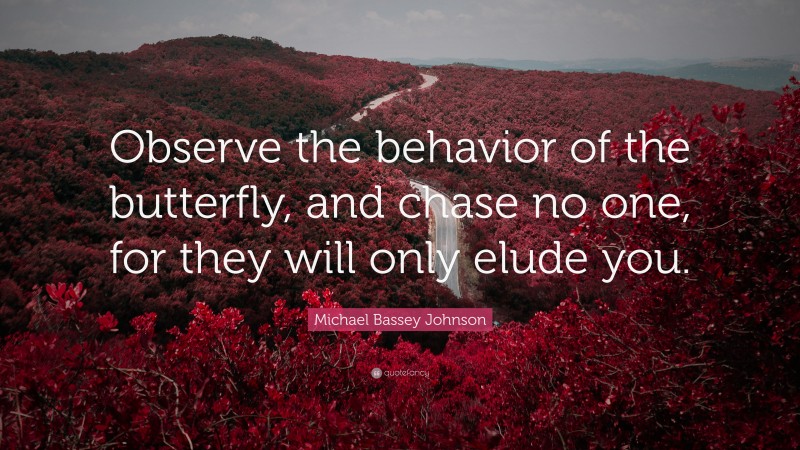 Michael Bassey Johnson Quote: “Observe the behavior of the butterfly, and chase no one, for they will only elude you.”