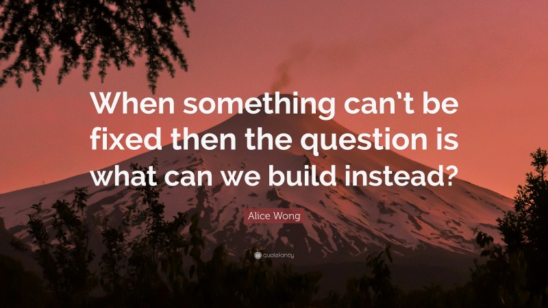 Alice Wong Quote: “When something can’t be fixed then the question is what can we build instead?”