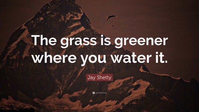 Jay Shetty Quote: “The grass is greener where you water it.”