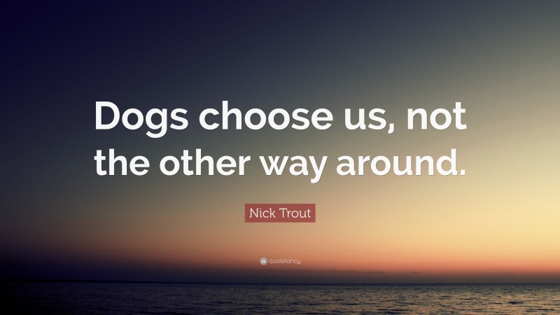 Nick Trout Quote: “Dogs choose us, not the other way around.”