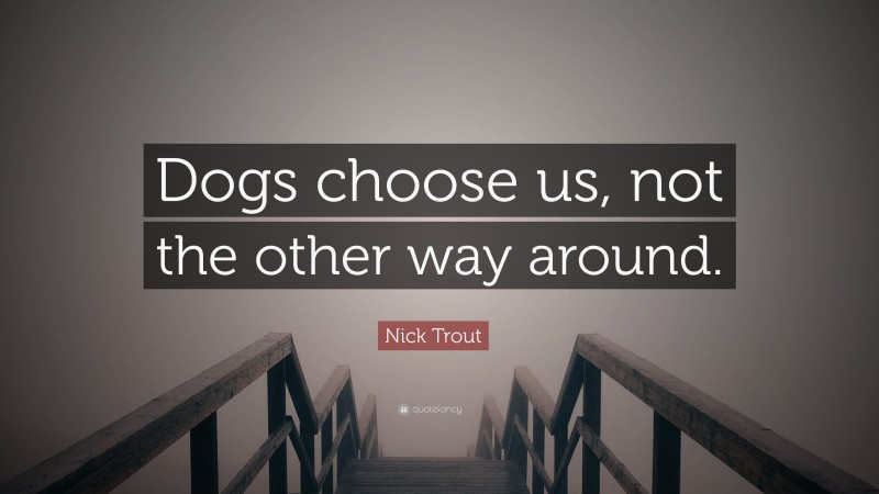 Nick Trout Quote: “Dogs choose us, not the other way around.”