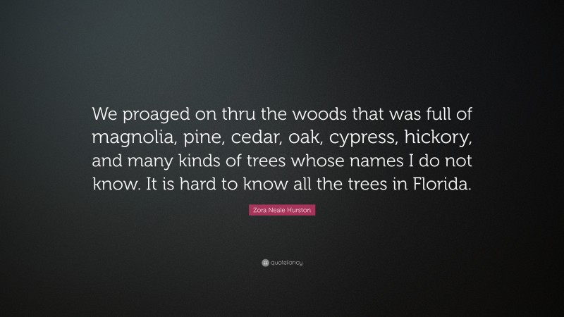 Zora Neale Hurston Quote: “We proaged on thru the woods that was full of magnolia, pine, cedar, oak, cypress, hickory, and many kinds of trees whose names I do not know. It is hard to know all the trees in Florida.”