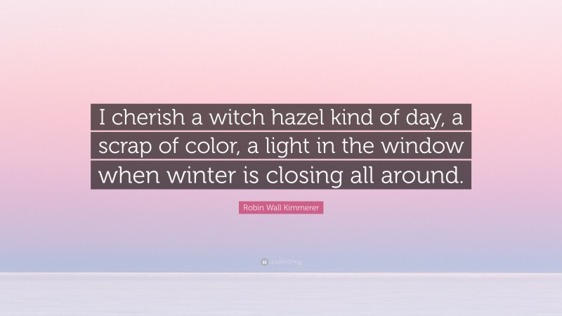 Robin Wall Kimmerer Quote: “I cherish a witch hazel kind of day, a scrap of color, a light in the window when winter is closing all around.”