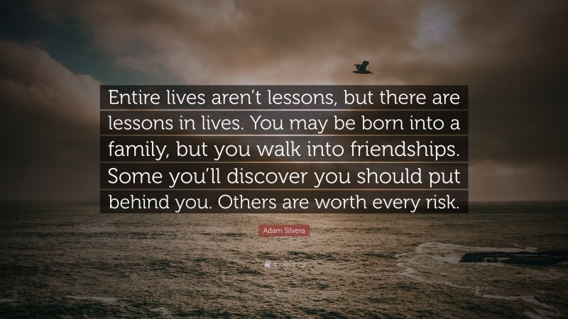Adam Silvera Quote: “Entire lives aren’t lessons, but there are lessons in lives. You may be born into a family, but you walk into friendships. Some you’ll discover you should put behind you. Others are worth every risk.”