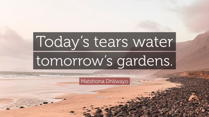 Matshona Dhliwayo Quote: “Today’s tears water tomorrow’s gardens.”