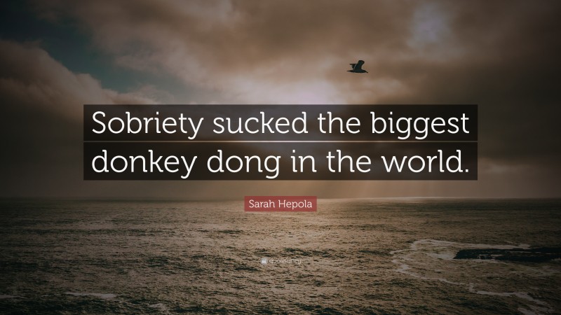 Sarah Hepola Quote: “Sobriety sucked the biggest donkey dong in the world.”