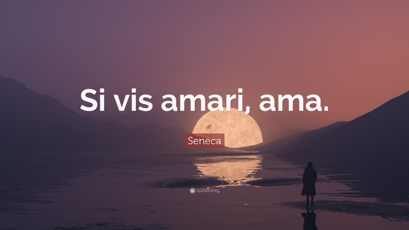 Seneca Quote: “Si vis amari, ama.”