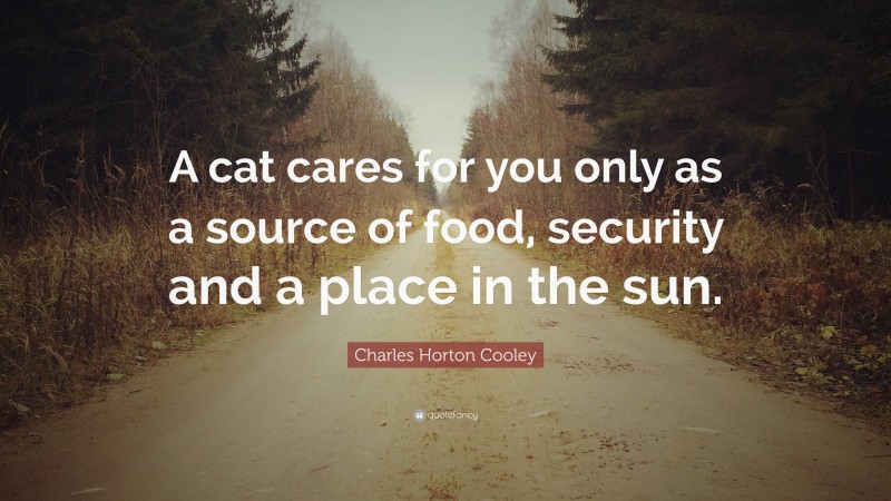 Charles Horton Cooley Quote: “A cat cares for you only as a source of food, security and a place in the sun.”