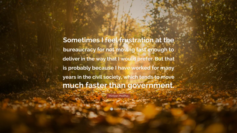 Wangari Maathai Quote: “Sometimes I feel frustration at the bureaucracy for not moving fast enough to deliver in the way that I would prefer. But that is probably because I have worked for many years in the civil society, which tends to move much faster than government.”