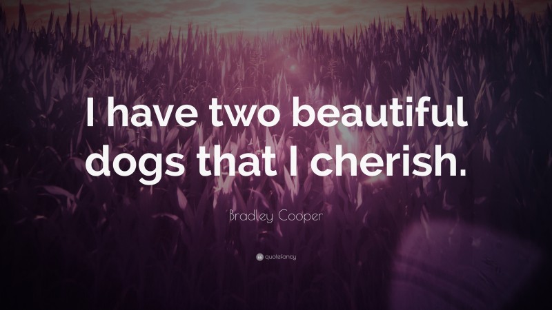Bradley Cooper Quote: “I have two beautiful dogs that I cherish.”