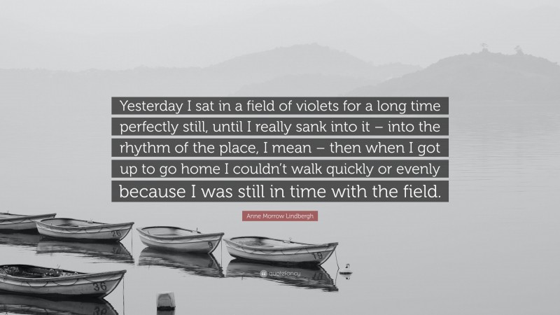 Anne Morrow Lindbergh Quote: “Yesterday I sat in a field of violets for a long time perfectly still, until I really sank into it – into the rhythm of the place, I mean – then when I got up to go home I couldn’t walk quickly or evenly because I was still in time with the field.”