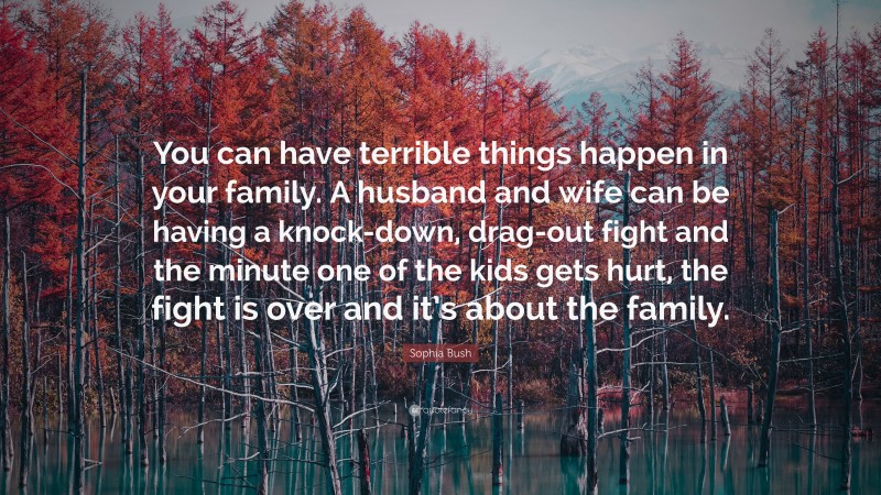 Sophia Bush Quote: “You can have terrible things happen in your family. A husband and wife can be having a knock-down, drag-out fight and the minute one of the kids gets hurt, the fight is over and it’s about the family.”