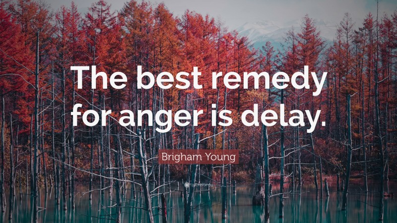 Brigham Young Quote: “The best remedy for anger is delay.”