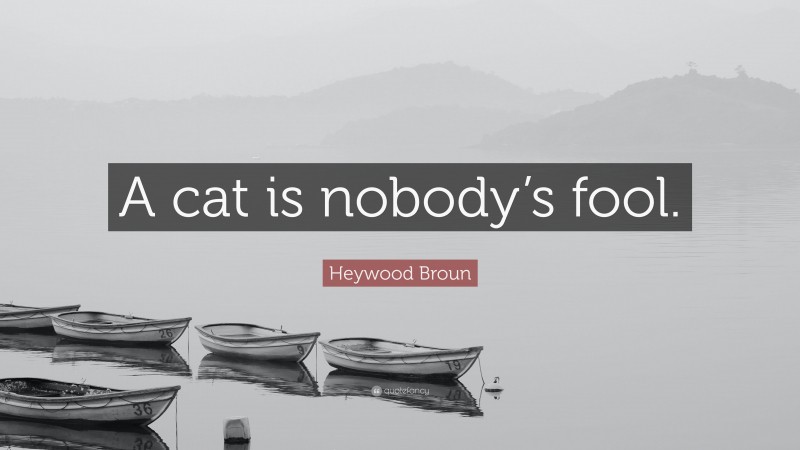 Heywood Broun Quote: “A cat is nobody’s fool.”