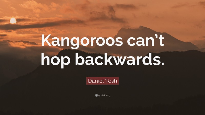 Daniel Tosh Quote: “Kangoroos can’t hop backwards.”