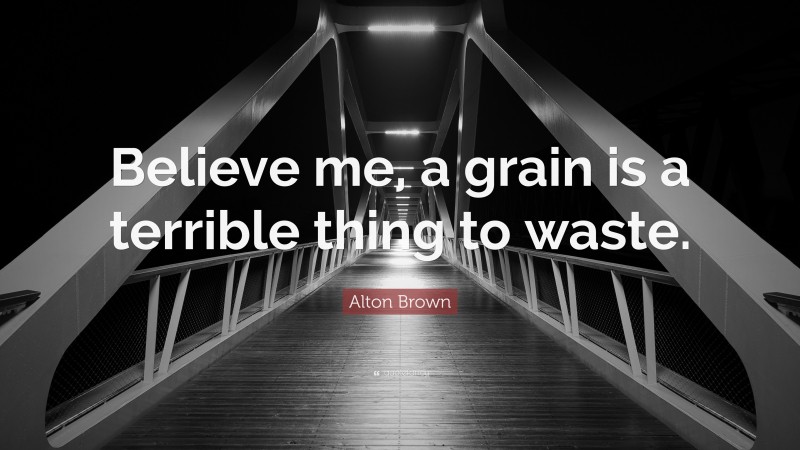 Alton Brown Quote: “Believe me, a grain is a terrible thing to waste.”