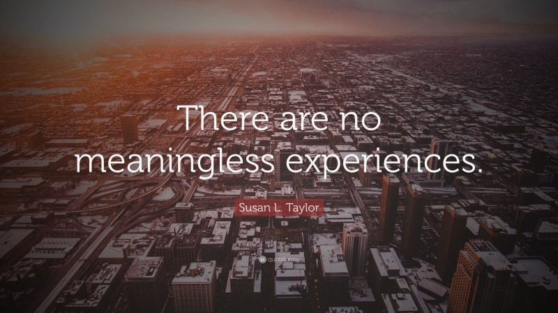 Susan L. Taylor Quote: “There are no meaningless experiences.”