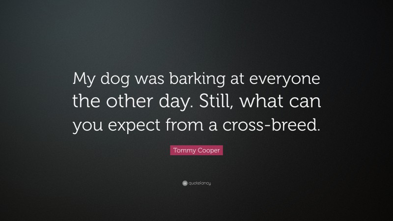 Tommy Cooper Quote: “My dog was barking at everyone the other day. Still, what can you expect from a cross-breed.”