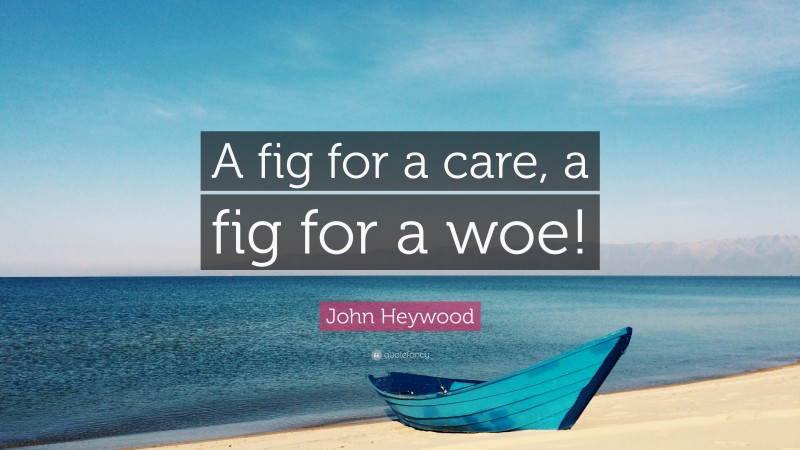 John Heywood Quote: “A fig for a care, a fig for a woe!”