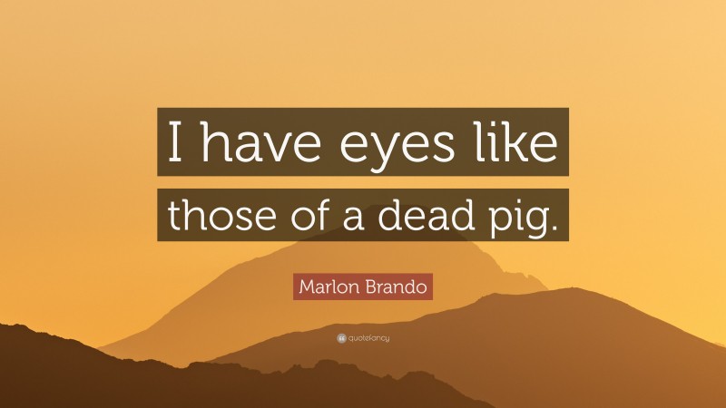 Marlon Brando Quote: “I have eyes like those of a dead pig.”