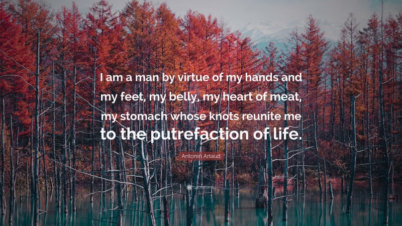 Antonin Artaud Quote: “I am a man by virtue of my hands and my feet, my belly, my heart of meat, my stomach whose knots reunite me to the putrefaction of life.”