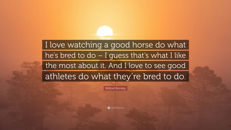 Wilford Brimley Quote: “I love watching a good horse do what he’s bred to do – I guess that’s what I like the most about it. And I love to see good athletes do what they’re bred to do.”