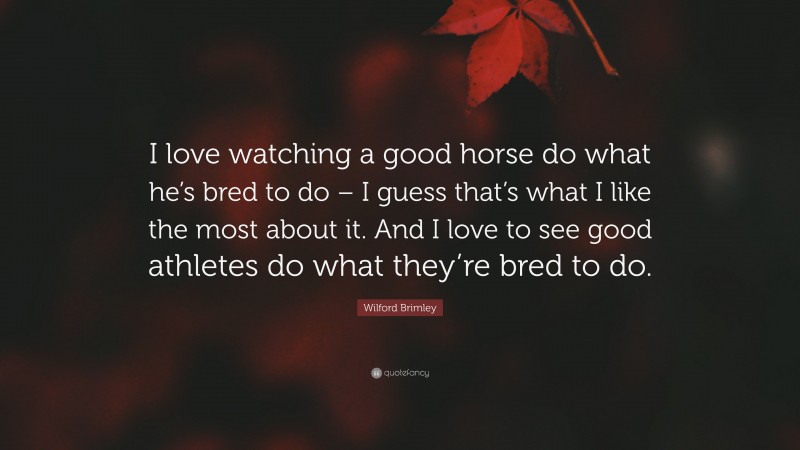 Wilford Brimley Quote: “I love watching a good horse do what he’s bred to do – I guess that’s what I like the most about it. And I love to see good athletes do what they’re bred to do.”