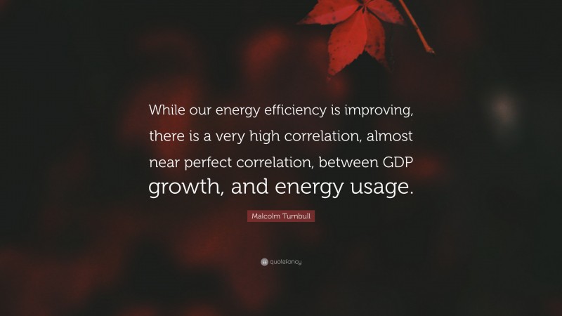 Malcolm Turnbull Quote: “While our energy efficiency is improving, there is a very high correlation, almost near perfect correlation, between GDP growth, and energy usage.”