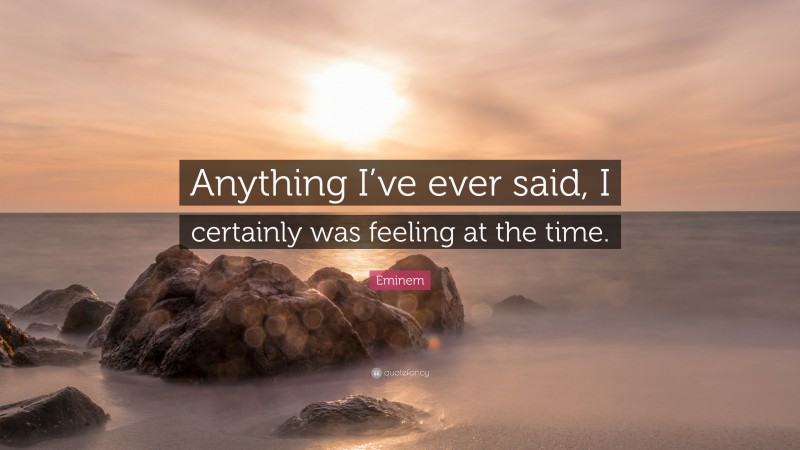 Eminem Quote: “Anything I’ve ever said, I certainly was feeling at the time.”