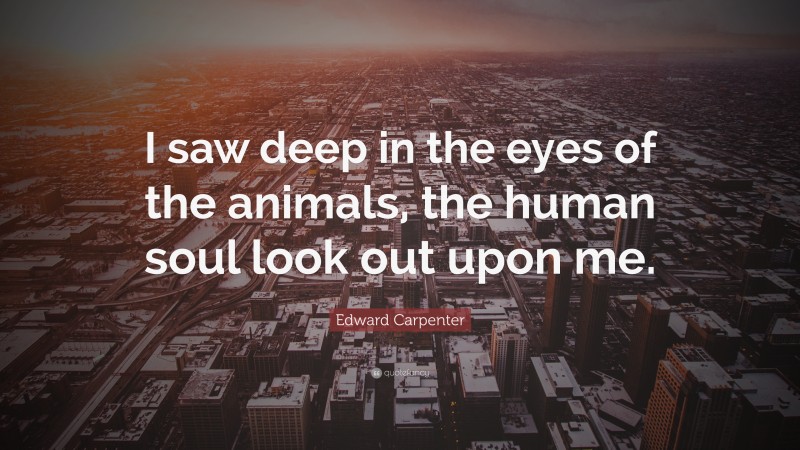 Edward Carpenter Quote: “I saw deep in the eyes of the animals, the human soul look out upon me.”