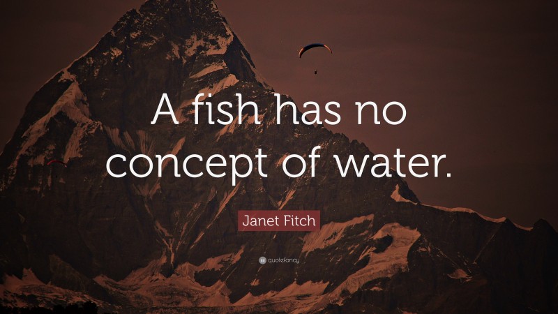 Janet Fitch Quote: “A fish has no concept of water.”