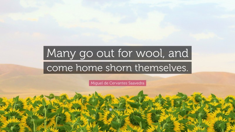 Miguel de Cervantes Saavedra Quote: “Many go out for wool, and come home shorn themselves.”