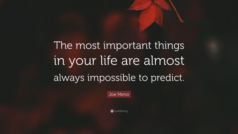 Joe Meno Quote: “The most important things in your life are almost always impossible to predict.”