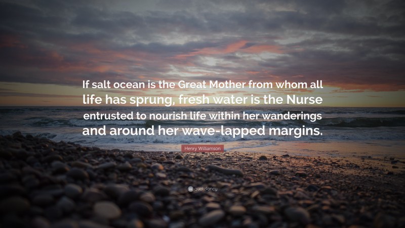 Henry Williamson Quote: “If salt ocean is the Great Mother from whom all life has sprung, fresh water is the Nurse entrusted to nourish life within her wanderings and around her wave-lapped margins.”