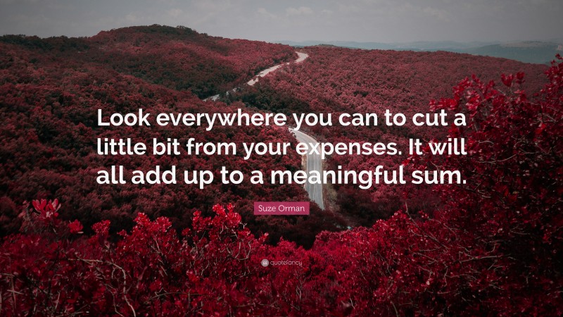 Suze Orman Quote: “Look everywhere you can to cut a little bit from your expenses. It will all add up to a meaningful sum.”