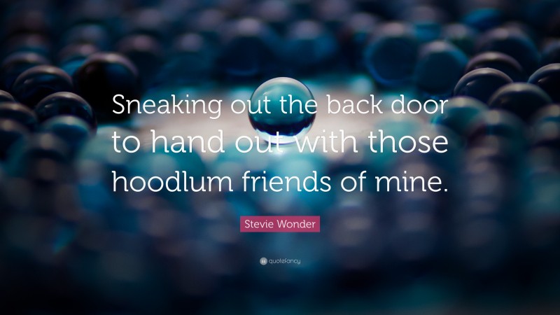 Stevie Wonder Quote: “Sneaking out the back door to hand out with those hoodlum friends of mine.”