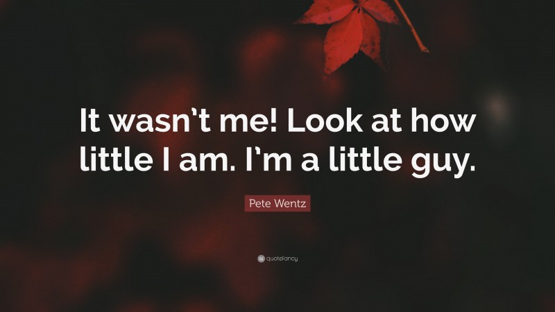 Pete Wentz Quote: “It wasn’t me! Look at how little I am. I’m a little guy.”