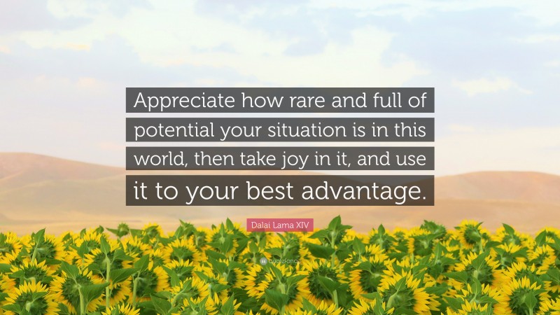 Dalai Lama XIV Quote: “Appreciate how rare and full of potential your situation is in this world, then take joy in it, and use it to your best advantage.”