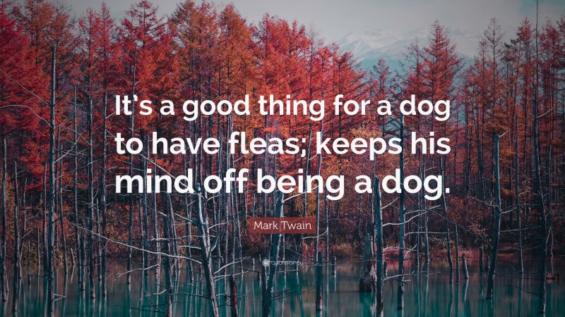 Mark Twain Quote: “It’s a good thing for a dog to have fleas; keeps his mind off being a dog.”