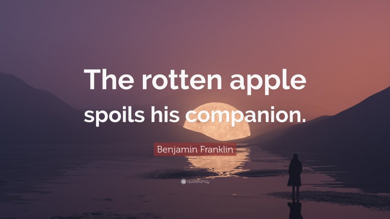 Benjamin Franklin Quote: “The rotten apple spoils his companion.”