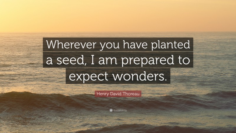 Henry David Thoreau Quote: “Wherever you have planted a seed, I am prepared to expect wonders.”