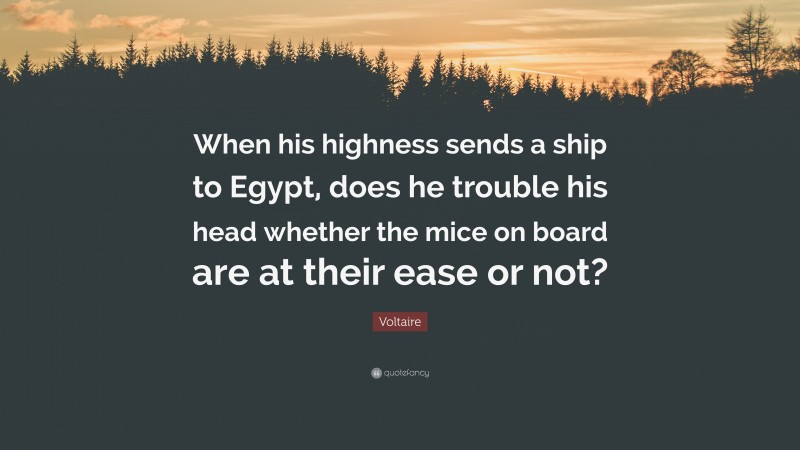 Voltaire Quote: “When his highness sends a ship to Egypt, does he trouble his head whether the mice on board are at their ease or not?”
