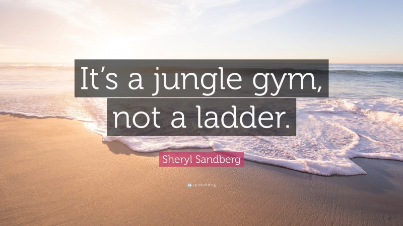 Sheryl Sandberg Quote: “It’s a jungle gym, not a ladder.”