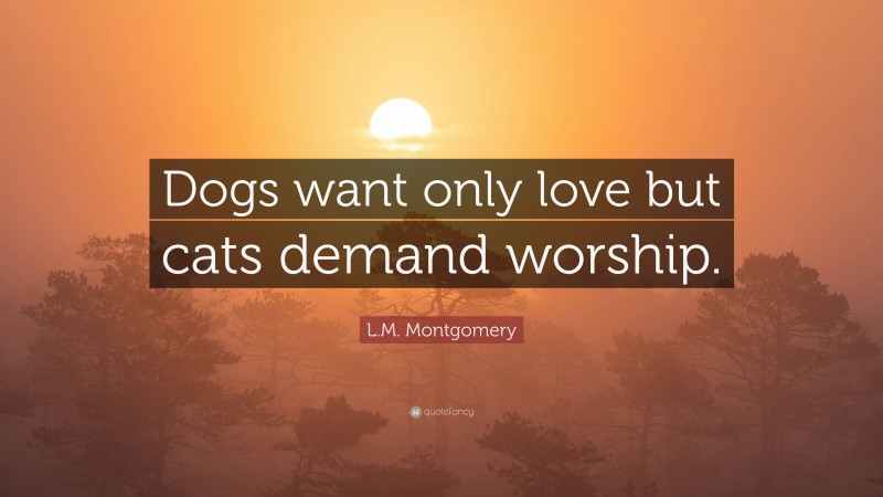 L.M. Montgomery Quote: “Dogs want only love but cats demand worship.”