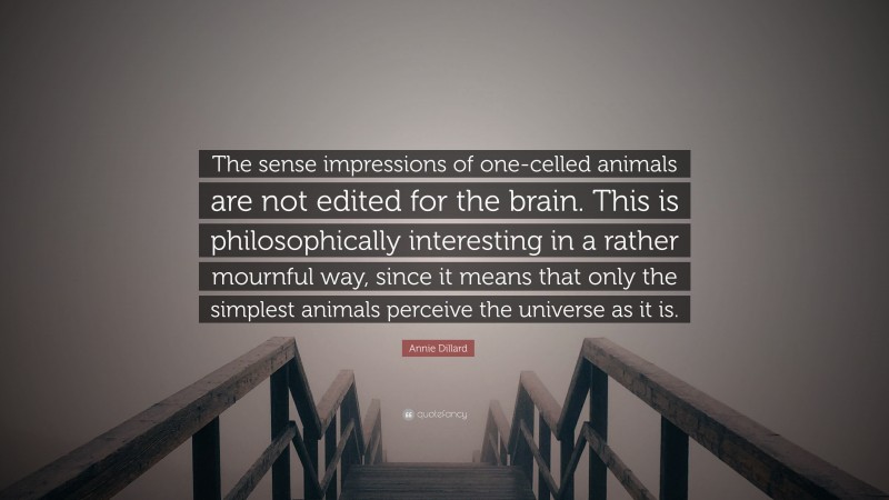 Annie Dillard Quote: “The sense impressions of one-celled animals are not edited for the brain. This is philosophically interesting in a rather mournful way, since it means that only the simplest animals perceive the universe as it is.”